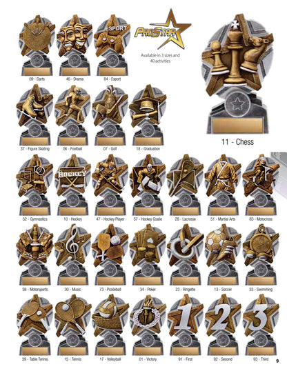 ProStar Resin (3 sizes + 40 activities)